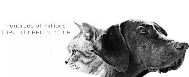 <br><br>Our Mission