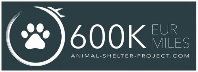 600k Animal Shelter Project